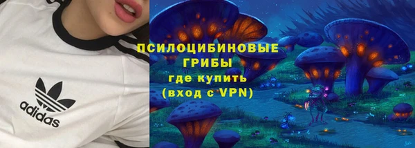 индика Богданович