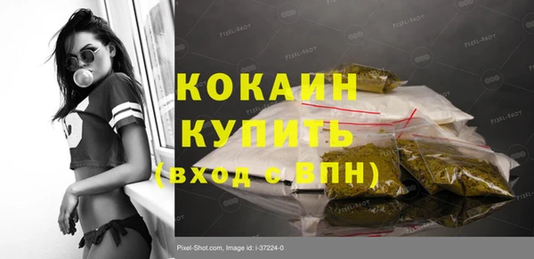 индика Богданович