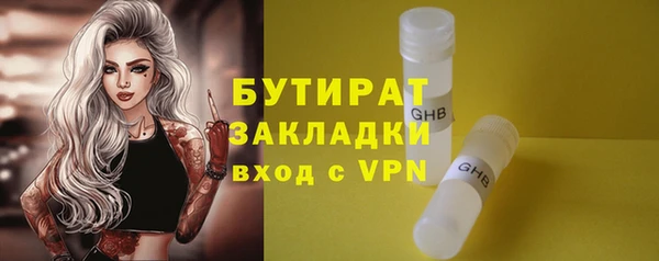 индика Богданович