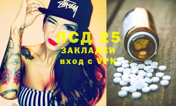 индика Богданович